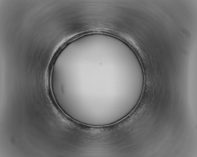 X0000112941032200909071050