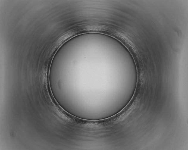 X0000112941033200909071050