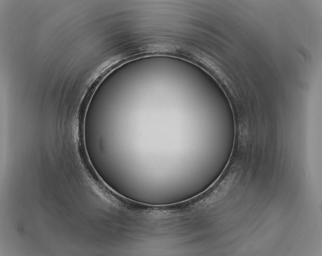 X0000112941034200909071050