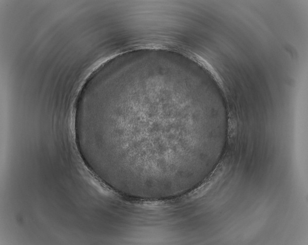 X0000112941035200909071050