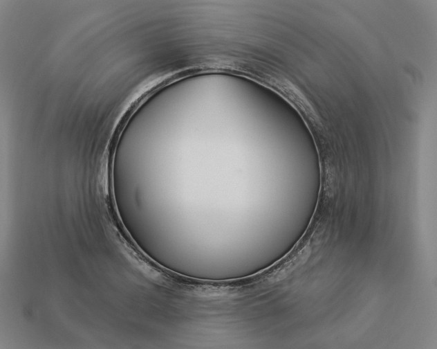 X0000112941036200909071050