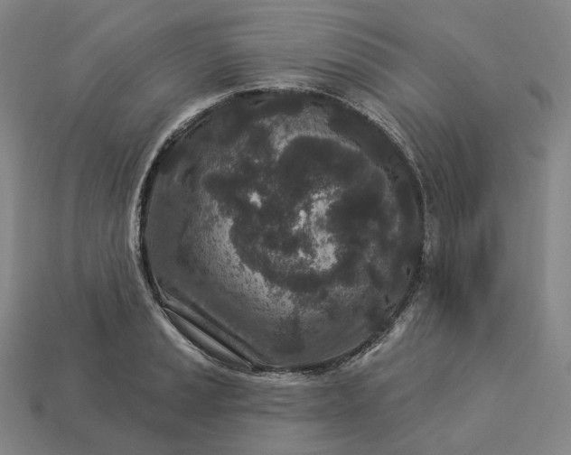 X0000112941037200909071050