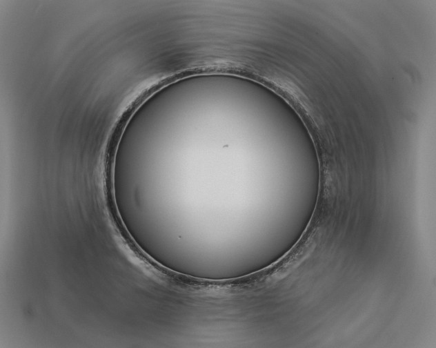 X0000112941038200909071050