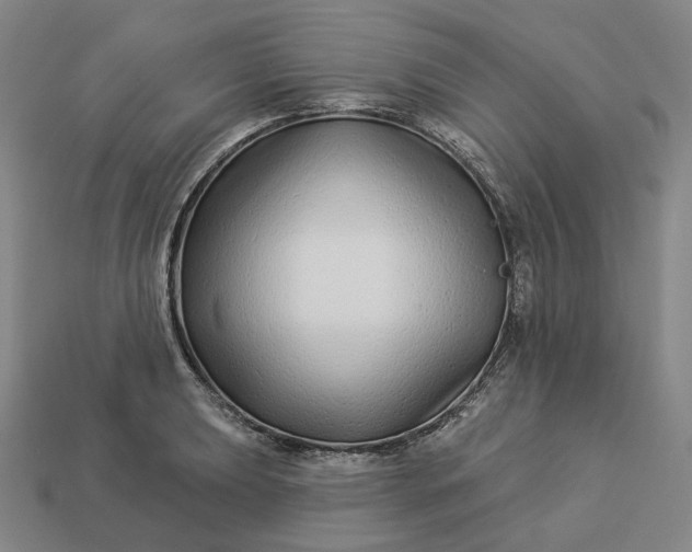 X0000112941039200909071050