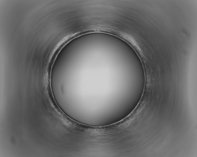 X0000112941040200909071050