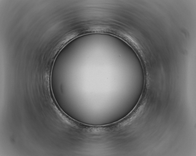 X0000112941041200909071050