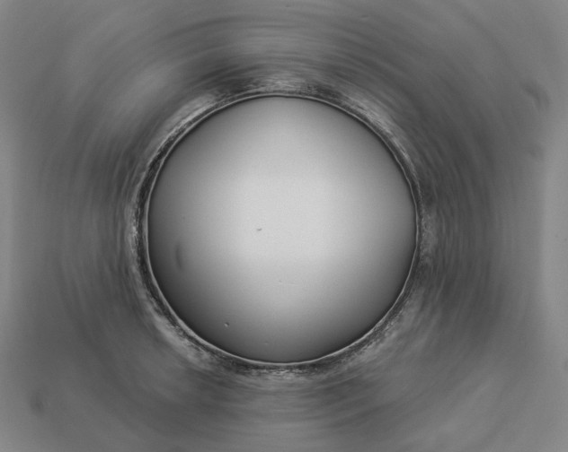 X0000112941042200909071050