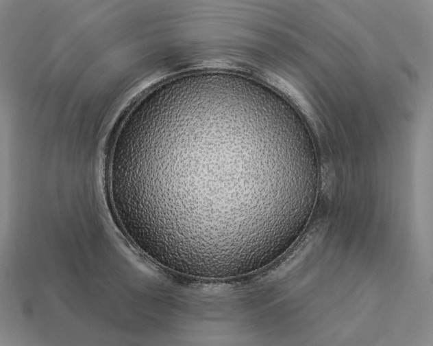 X0000112941043200909071050