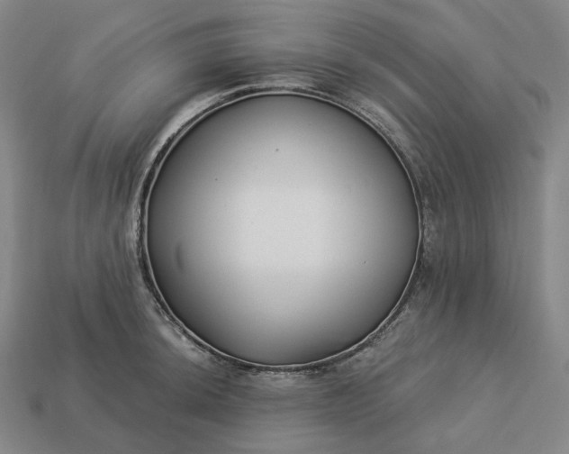 X0000112941044200909071050