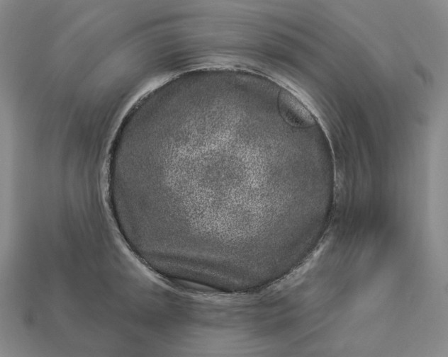 X0000112941045200909071050