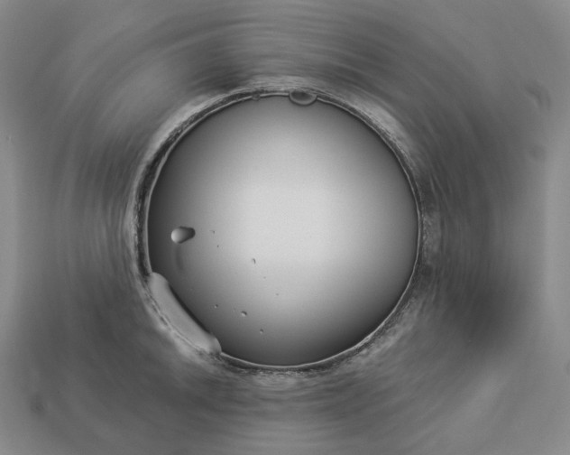 X0000112941046200909071050