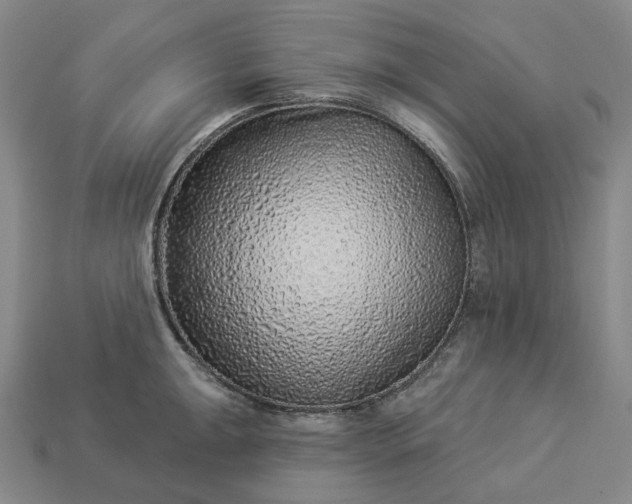 X0000112941047200909071050