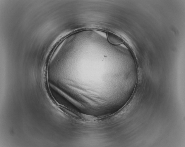 X0000112941048200909071050