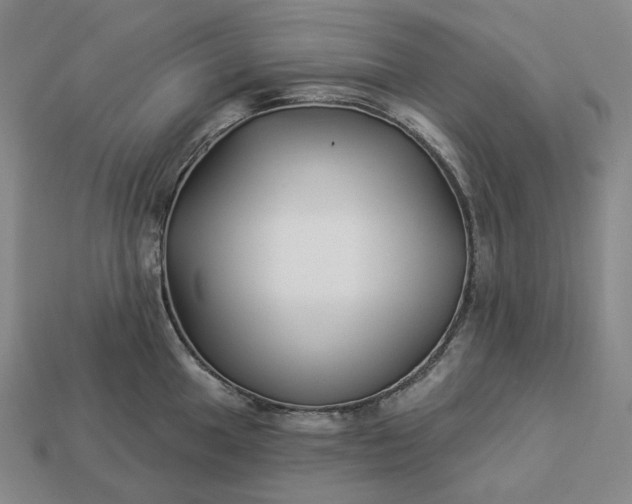 X0000112941049200909071050