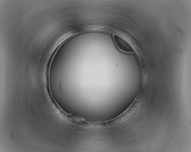 X0000112941050200909071050