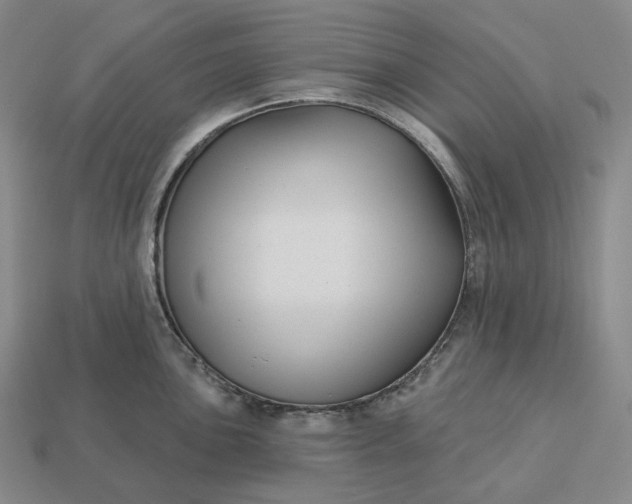 X0000112941051200909071050