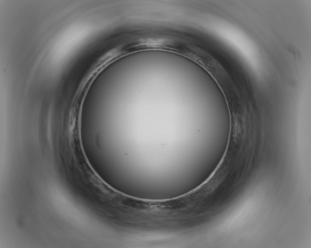 X0000112941052200909071050