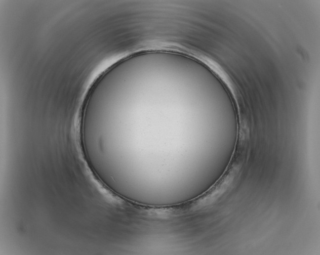 X0000112941053200909071050