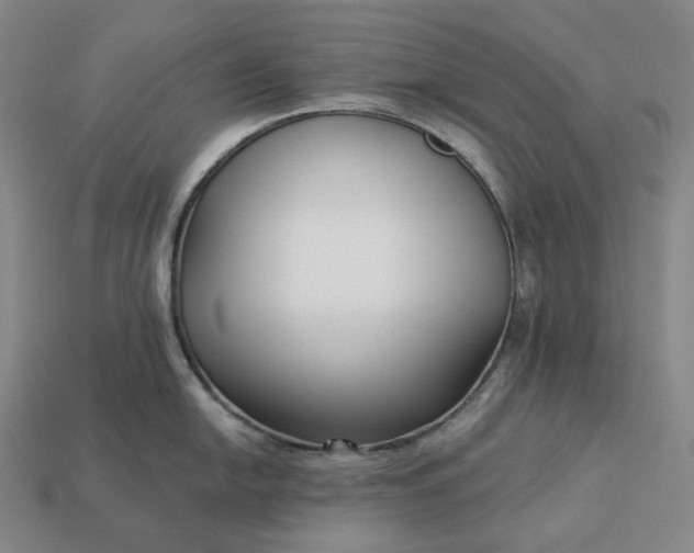 X0000112941054200909071050