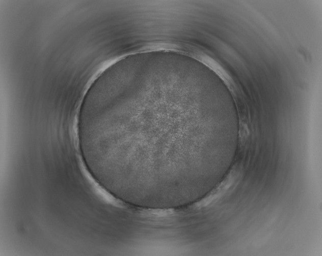 X0000112941055200909071050