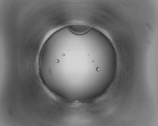 X0000112941056200909071050