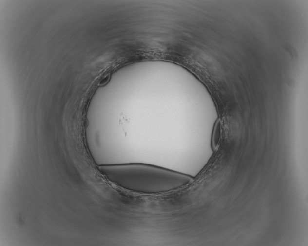 X0000112941057200909071050