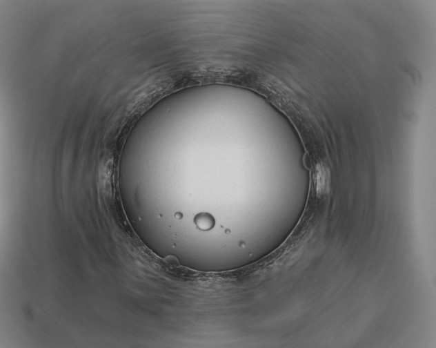 X0000112941059200909071050