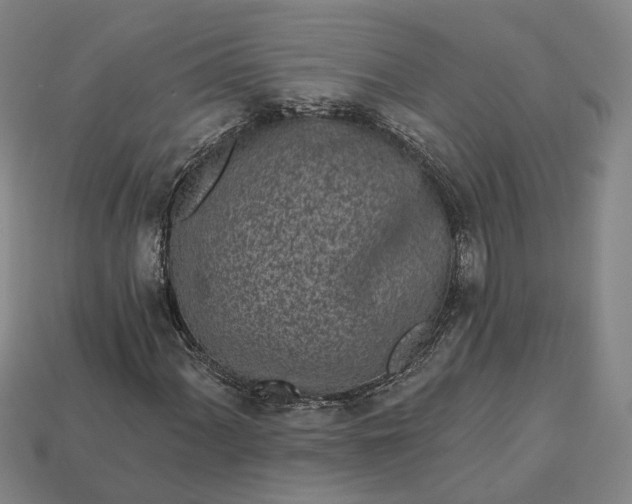 X0000112941060200909071050