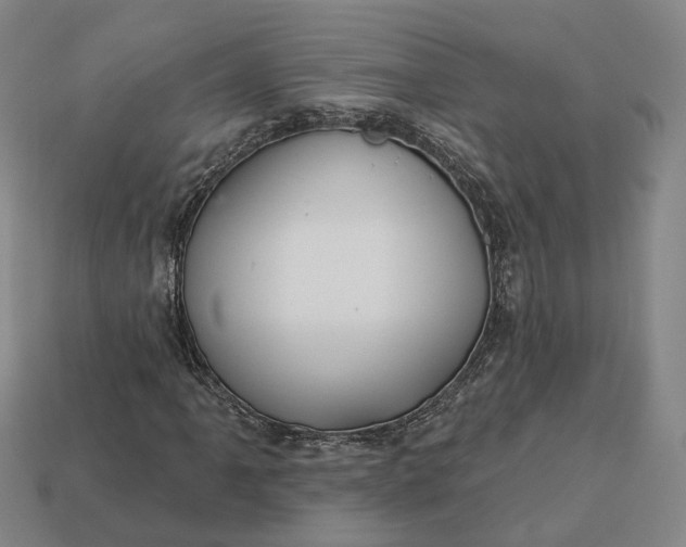 X0000112941061200909071050