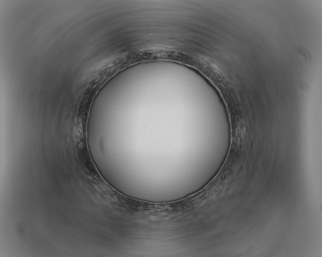 X0000112941062200909071050