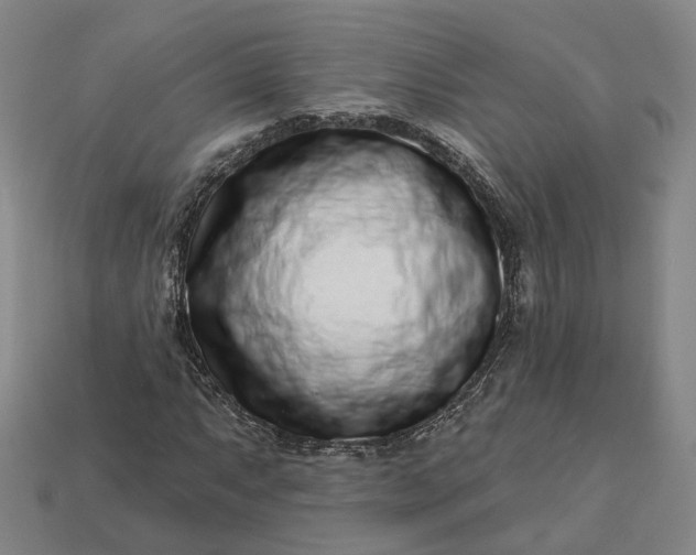 X0000112941063200909071050