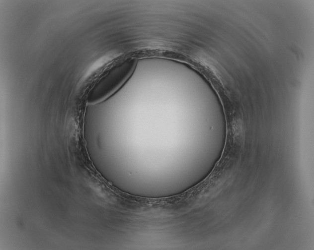 X0000112941064200909071050