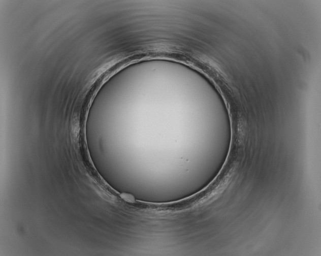 X0000112941065200909071050