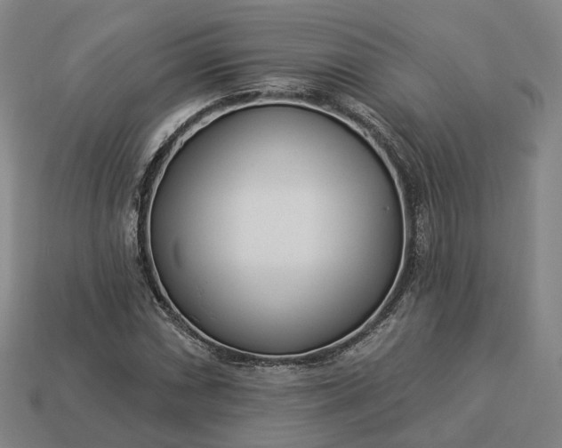 X0000112941066200909071050