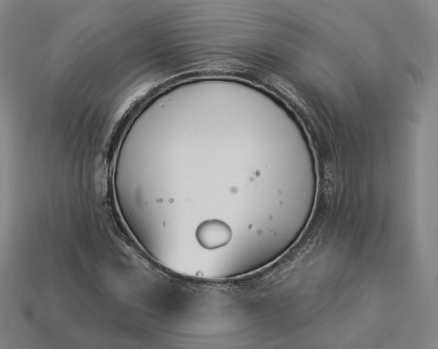 X0000112941067200909071050