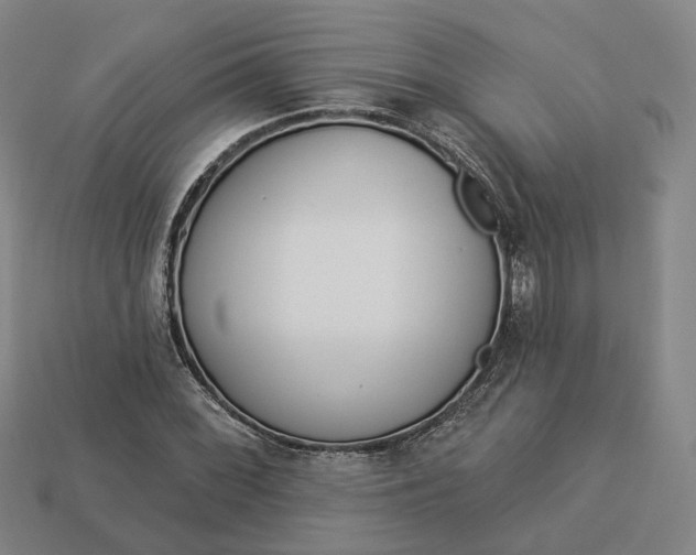 X0000112941068200909071050