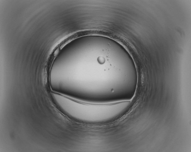 X0000112941069200909071050