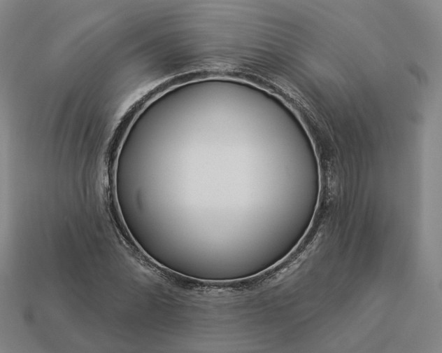 X0000112941070200909071050