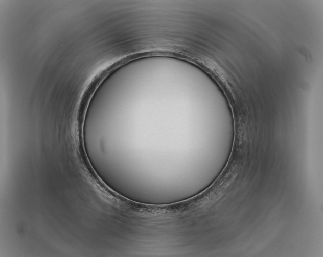 X0000112941072200909071050