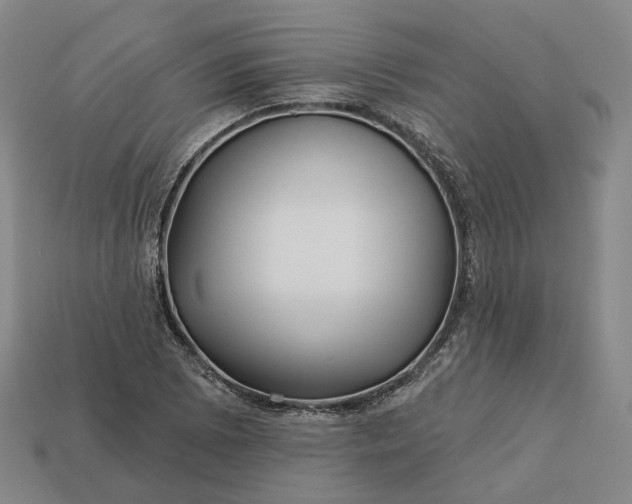 X0000112941073200909071050