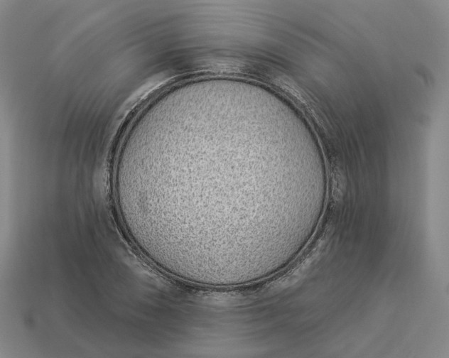 X0000112941074200909071050