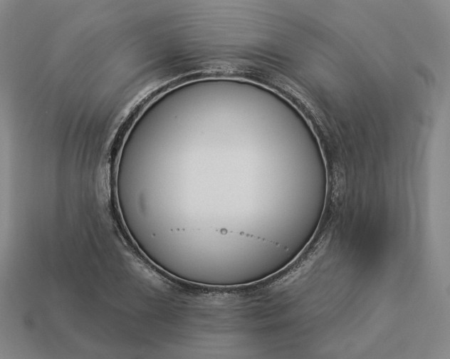 X0000112941075200909071050