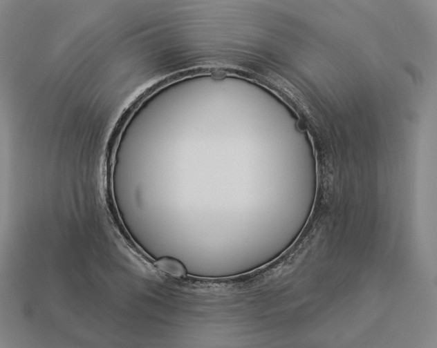 X0000112941076200909071050