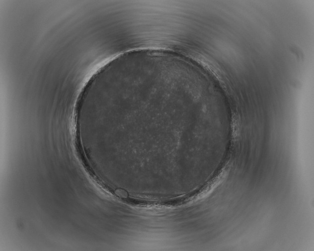 X0000112941077200909071050