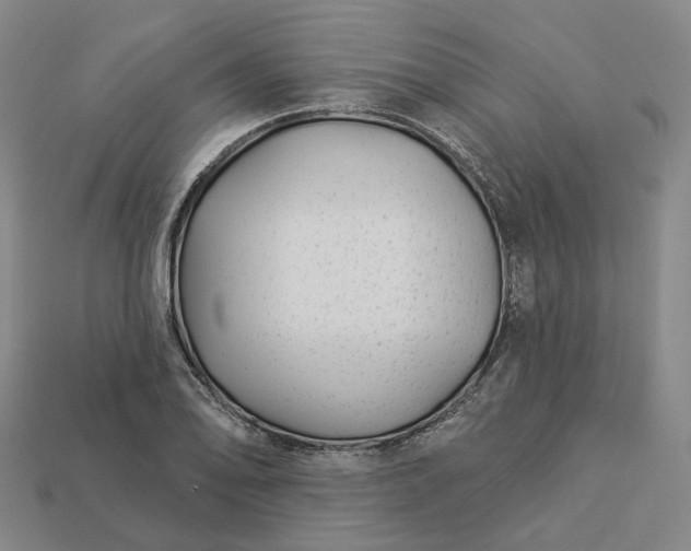 X0000112941078200909071050