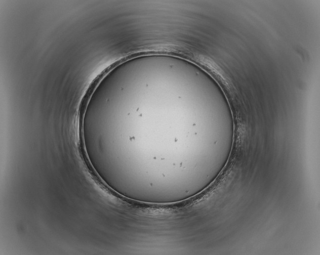 X0000112941079200909071050