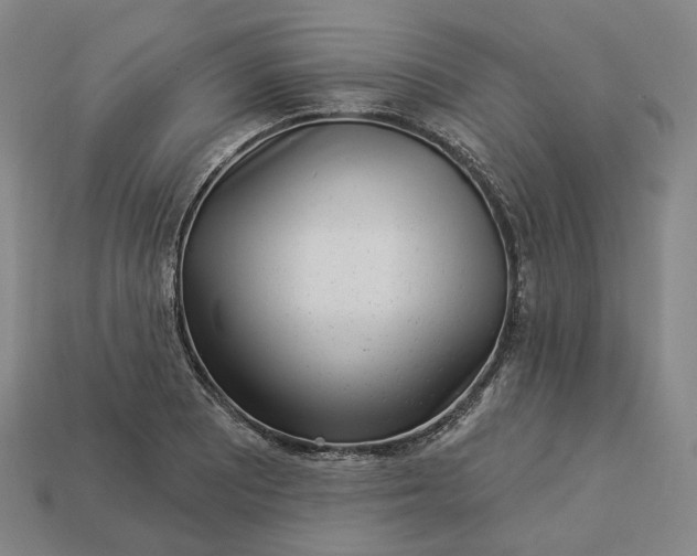 X0000112941081200909071050