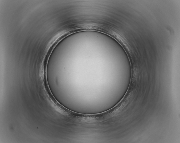 X0000112941082200909071050