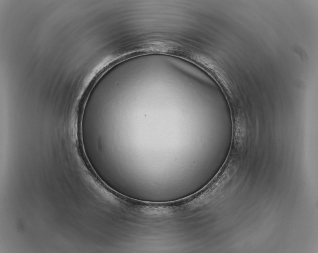 X0000112941083200909071049