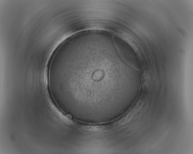 X0000112941084200909071049